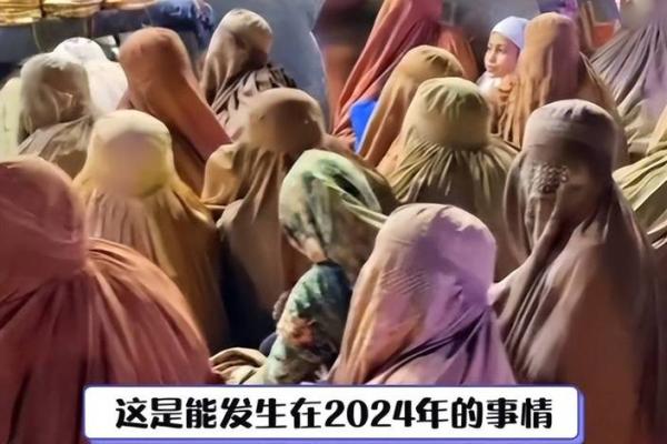 2015年命运转折：生活中的积极改变与成长之路