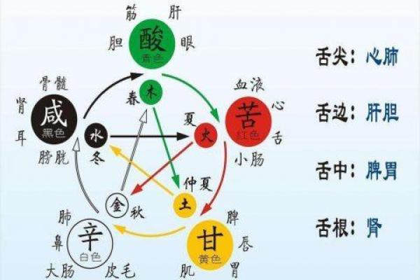 和谐相处：从命理看水命与其他命格的友好关系