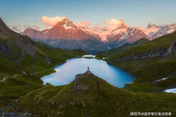 1995年兔年命运解析：在流年中与生肖同行的智慧之旅
