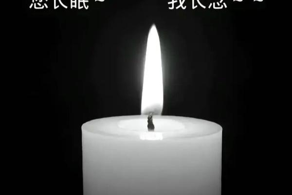 有命无命，我的命运之旅：探索生活的意义与选择