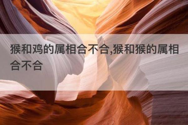 木猪命与合适伴侣：缘分与命理的完美结合