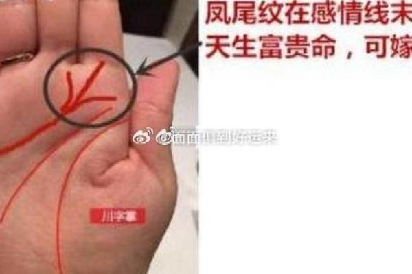 探索男命女命中的凤尾纹：命运的独特象征与解读