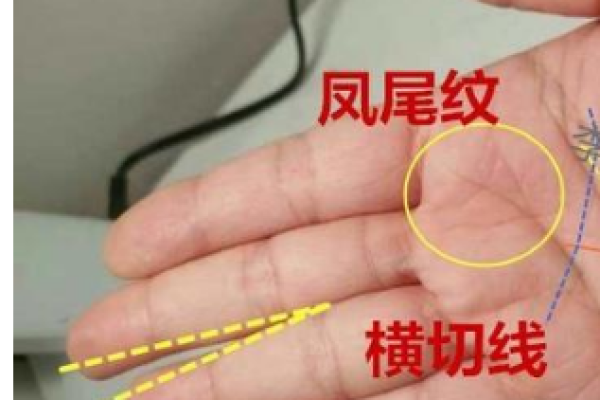 探索男命女命中的凤尾纹：命运的独特象征与解读