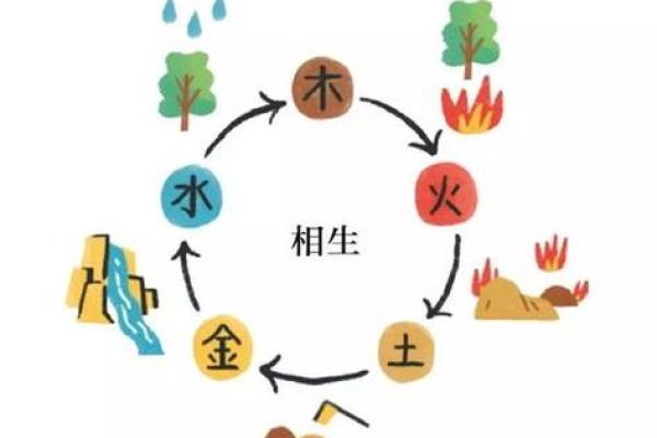 森林木命与五行之间的完美配对探讨