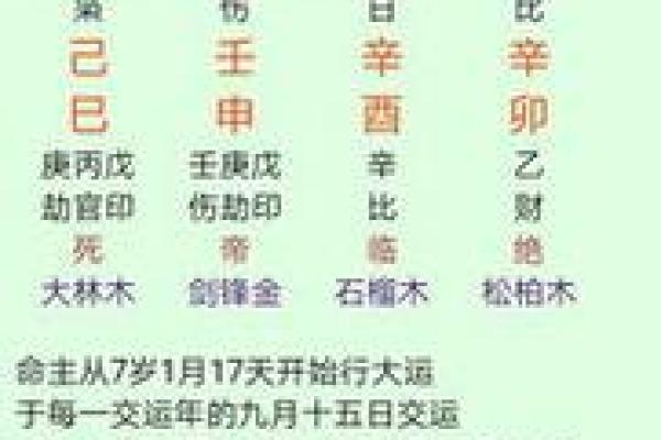 命理学中的文昌星：解码智慧与才华的源泉
