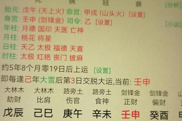 森林木命与五行之间的完美配对探讨