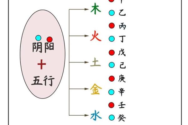 甲山命与乙山命的奥秘：揭示命理中的独特智慧