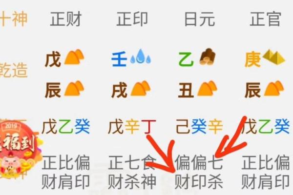 火命与土命夫妻的家庭养宠攻略：快乐生活的秘诀