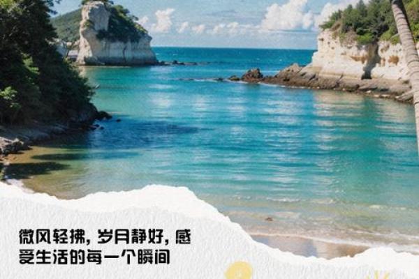 随遇而安：在生活的河流中优雅地漂流