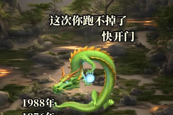 76年属龙人的命运解析：水命的魅力与挑战