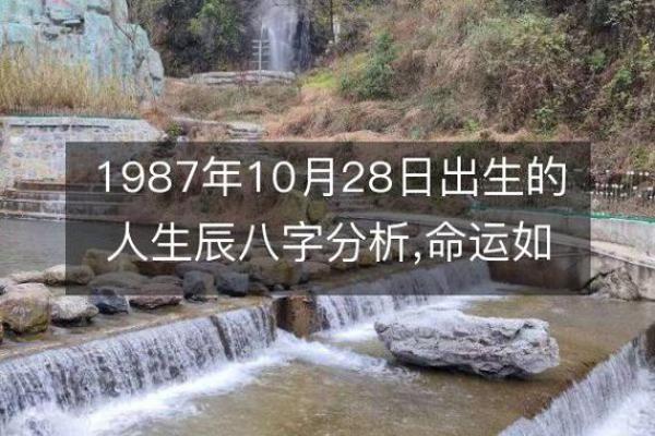 1987年3月2日出生的命运揭秘，了解你的个性与未来