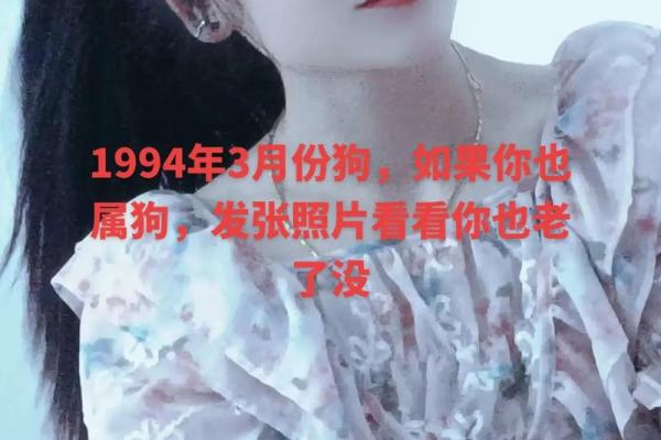 1994年出生，属狗的命运与生活启示