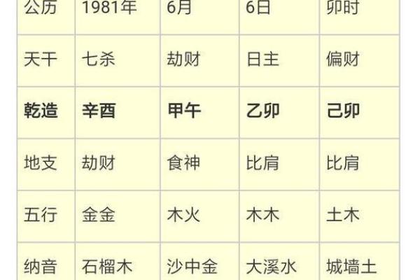 1981年木命人士的职业选择与禁忌解析