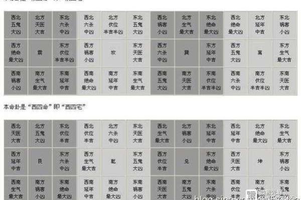 艮命西四命女的职业选择指南，助你找到理想工作！