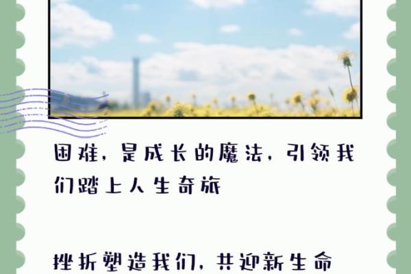命里带金库的深层意义与人生启示