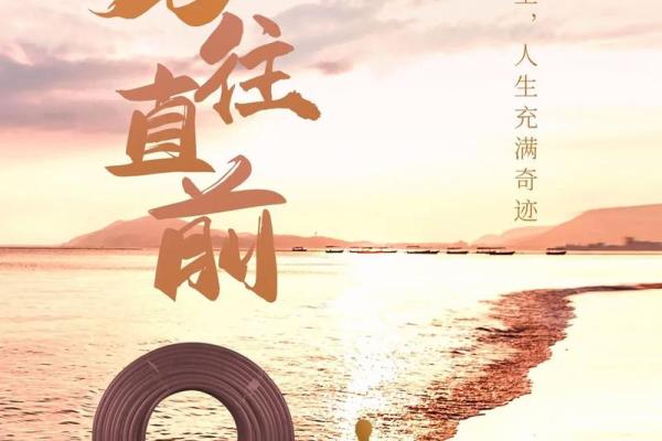 19761126是什么命？探秘命理与人生智慧之旅