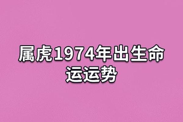 1913年属相与命理解析：探秘你的命格与未来
