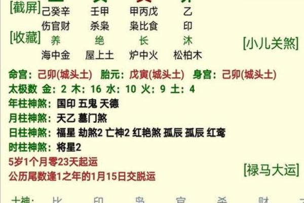 1990年马年命理解析：如何运用五行智慧提升人生质量