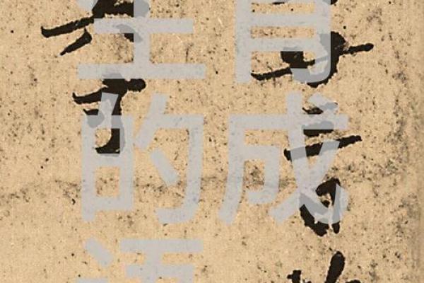挡不住的命运：成语中的人生哲理与启示