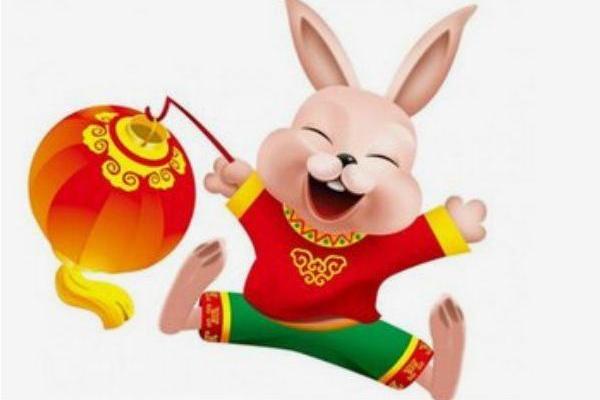 属兔木命与最佳命理搭配：寻找人生的和谐伴侣