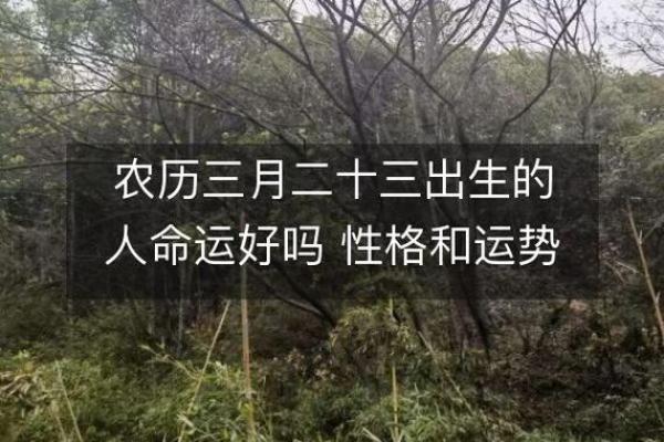 阴历4月30日出生的人：性格与命运解析