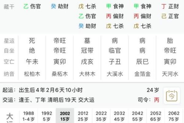 壬子年出生的人：命运与个性的深层解析