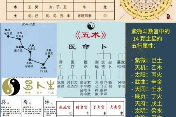 根据自己的命理，探寻人生的方向与意义