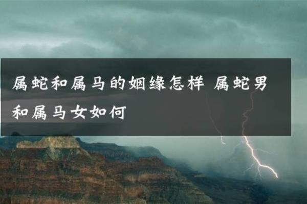 2014年属马人的命运与性格解析，揭示你的一生潜力与发展方向