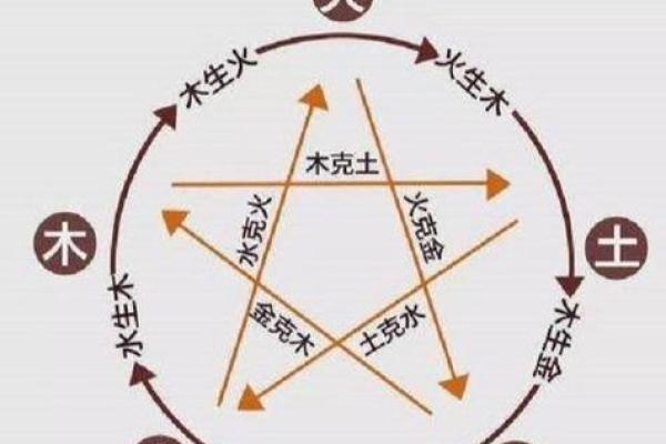 癸水命女与五行相生相克的完美配对秘密