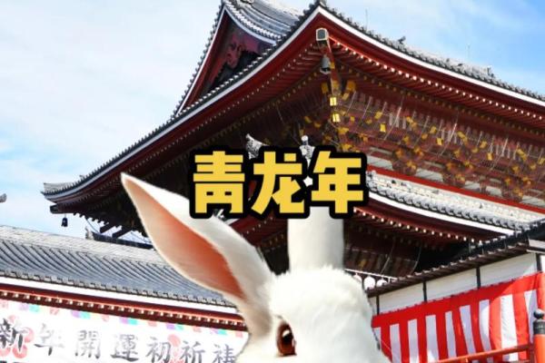2022年正月生肖兔的命运解析与生活启示