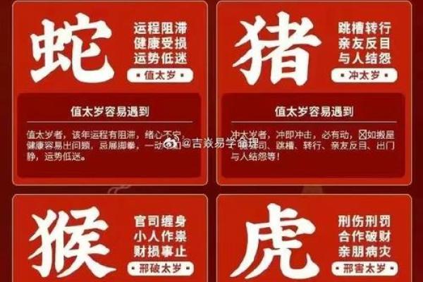 探寻女性命理：没有官运的命格解析与自我提升之道
