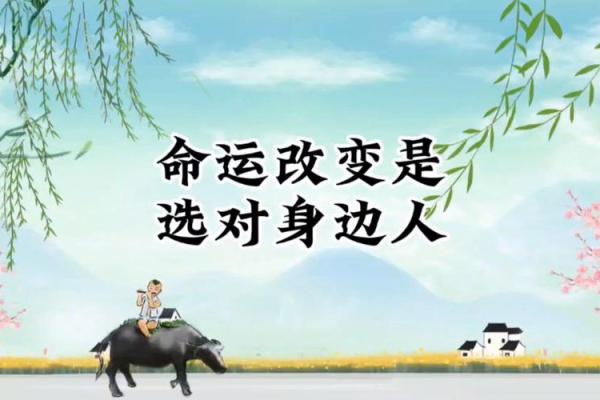 命运与选择：探寻“知命、可改命”的人生智慧