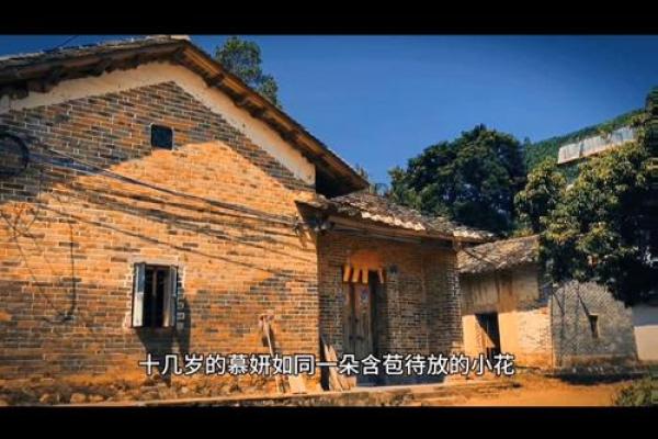 探秘阳命与仙命：天命之下的命运之道