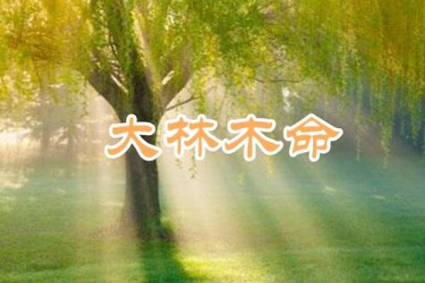大林木命者必知：生活中不可或缺的避忌和选择