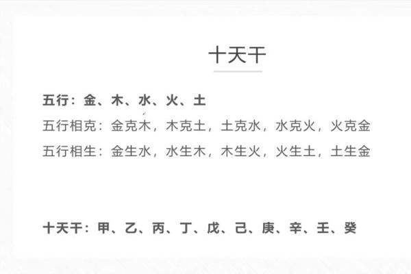 解析五行命理：金木水火土命的最佳选择与运势