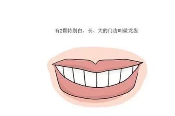 下牙长的人命运解析：与性格、事业、感情的深度关联
