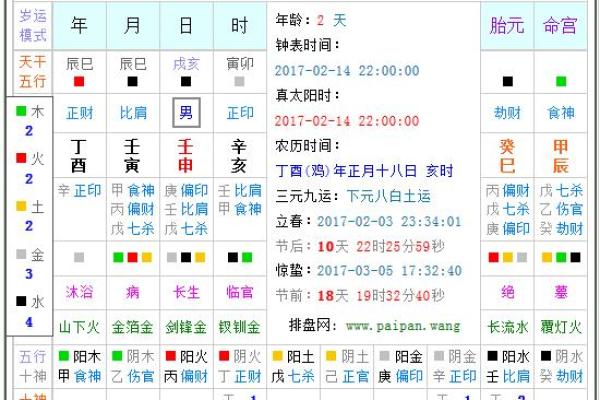 2017丁酉年：火鸡之命及其独特魅力解析
