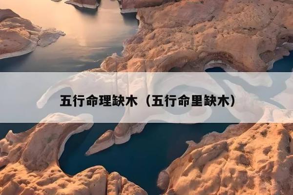 五行木命与水命的完美结合：自然与智慧的交响曲