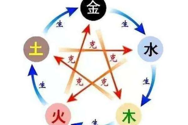 五行木命与水命的完美结合：自然与智慧的交响曲