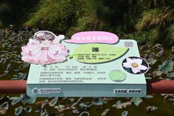 命命鸟：揭秘2023年新物种的奇妙旅程与生态意义