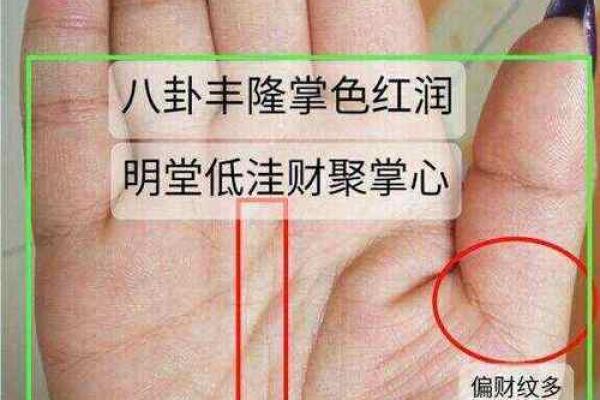 什么样的手纹会让女孩旺夫命？解析命好女人的手相特征