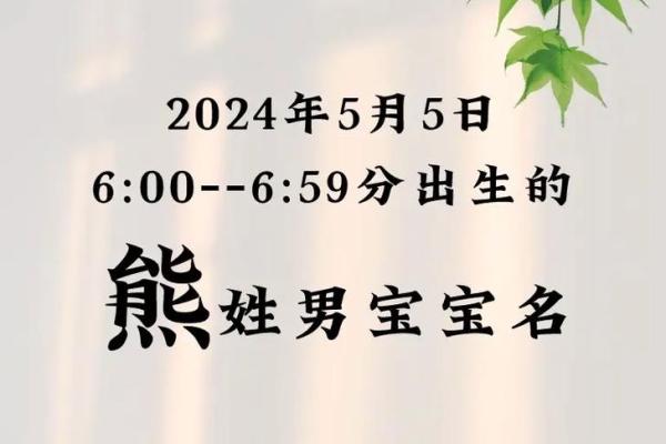 2023年出生的猪宝宝命运解析：畅享幸福生活的秘诀！