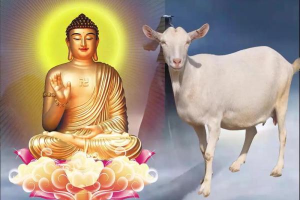 数羊的智慧：举例1955年出生者的性格命理探秘