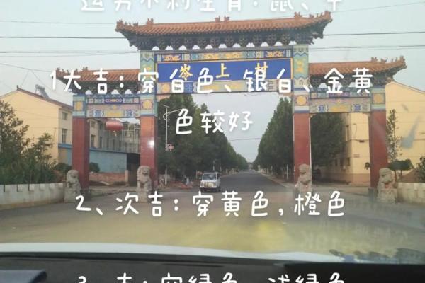 1965年属兔人的命运解析与生活指南