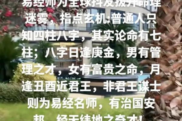 2022年虎年，揭秘虎命的命理玄机与人生智慧