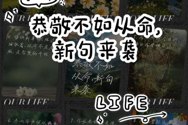 命运不是宿命，选择才是关键：探讨“命不如不信命”这一人生观