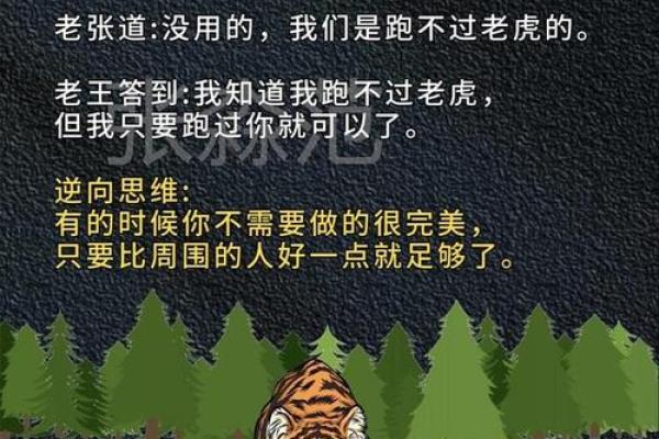 公子一命与六命之间的恩怨与抉择：命运的交错与人生的思考