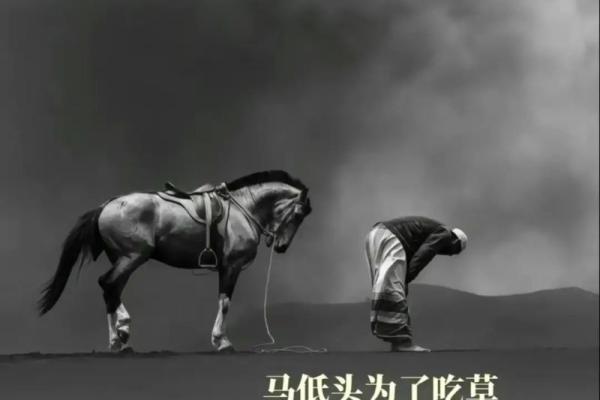 2004年出生的人命运解析：揭示他们的性格与未来机遇