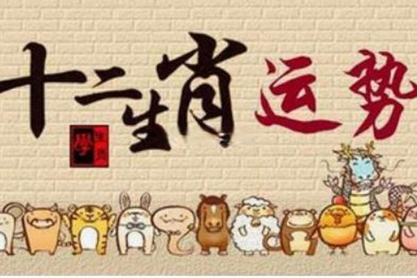 2019年属什么生肖？解密2019年的命运与运势！