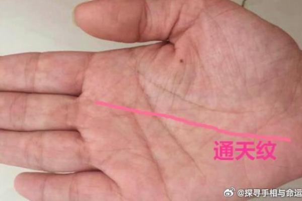 揭秘：哪些命相的人最适合当官？